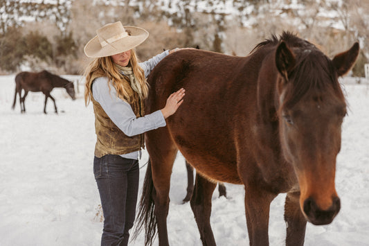 equine bodywork wyoming